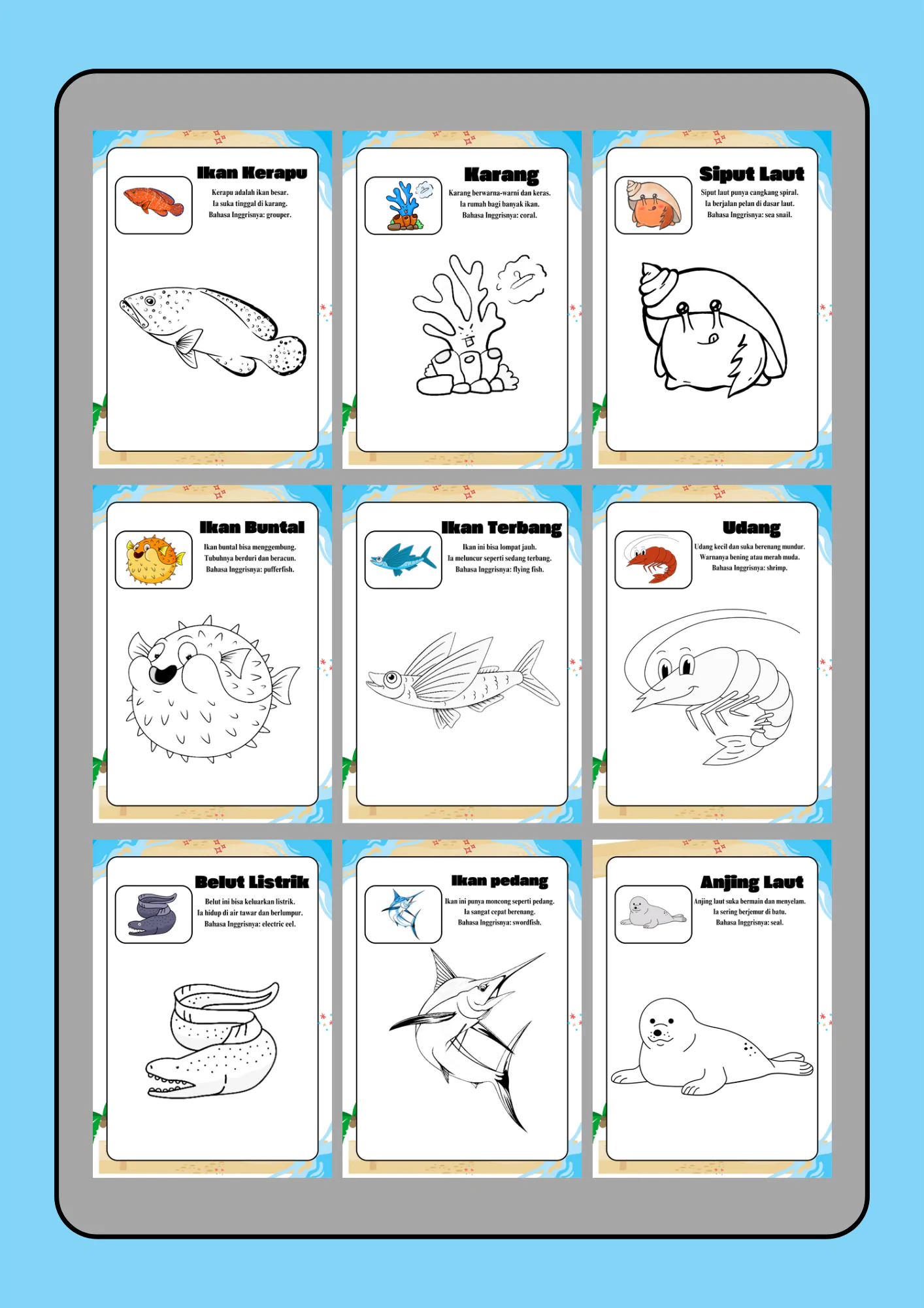 Coloring book mewarnai dan mengenali hewan laut