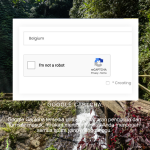 Jasa Pengembangan Website Travel Agent & Landing Page Professional